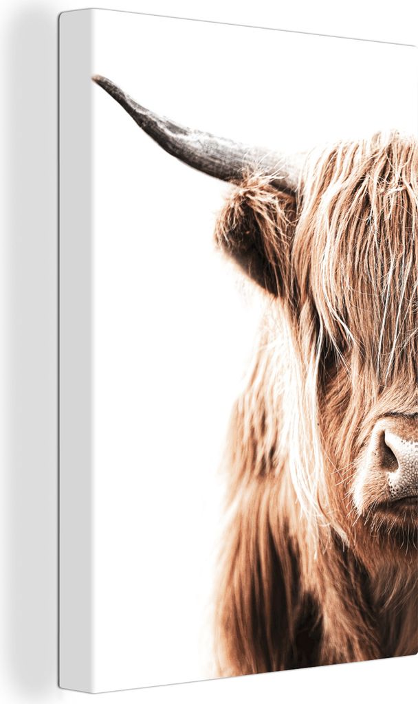 OneMillionCanvasses - Leinwandbilder - 90x140 cm, Schottisches Hochlandrind - Tier - Stier, Wandbilder Kunstdruck Wanddekoration - Hochland Rind ...
