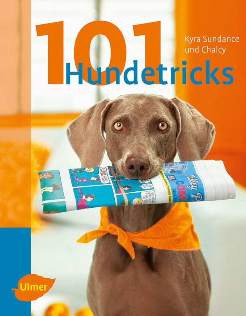 101 Hundetricks