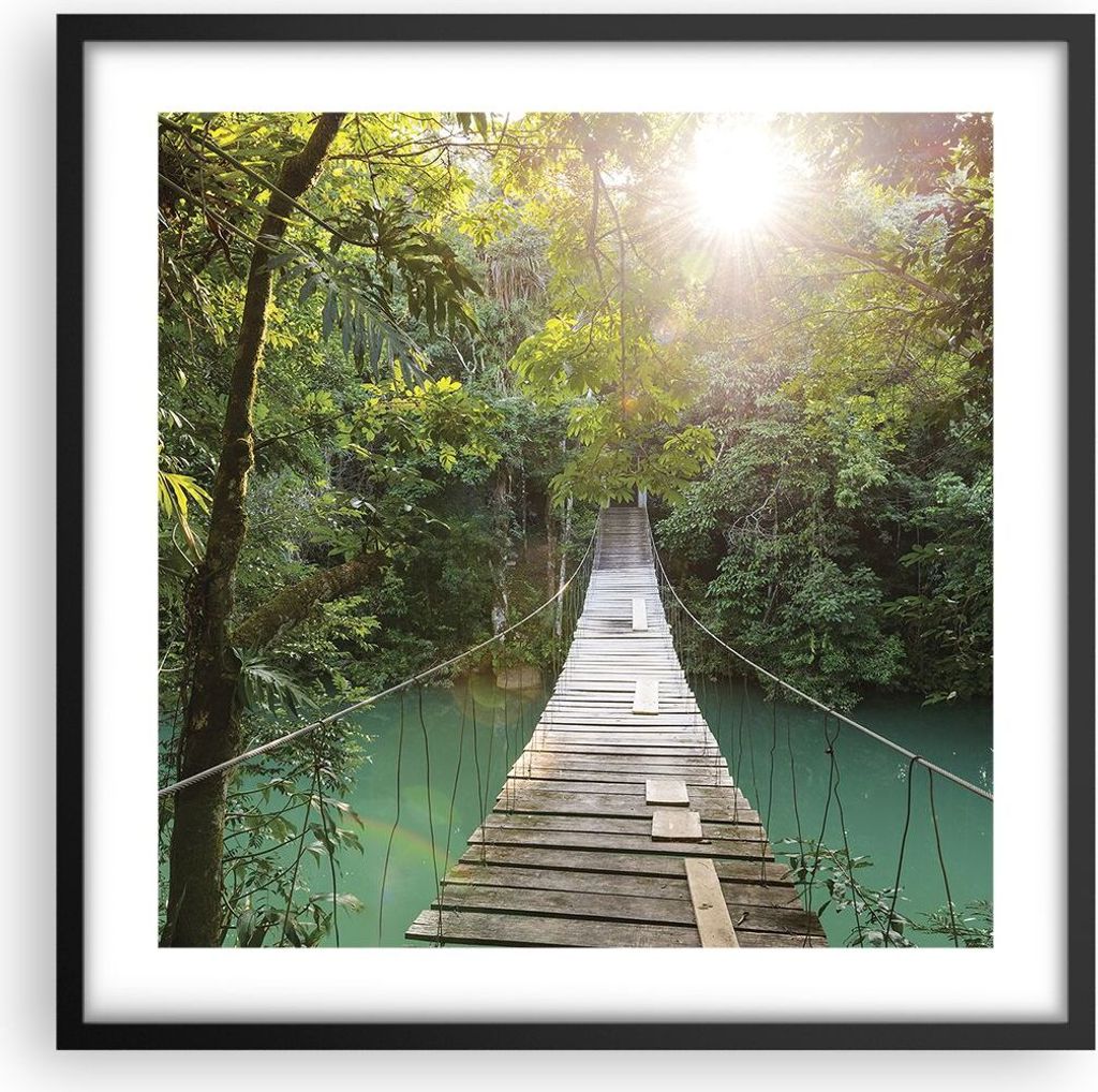 Gerahmtes Poster - Schwarzer Rahmen - Brücke Seil Dschungel - 50x50 cm - Wand Bild - Wanddeko - Wandbilder - Kunstposter - Wandposter - Bilderrahm...