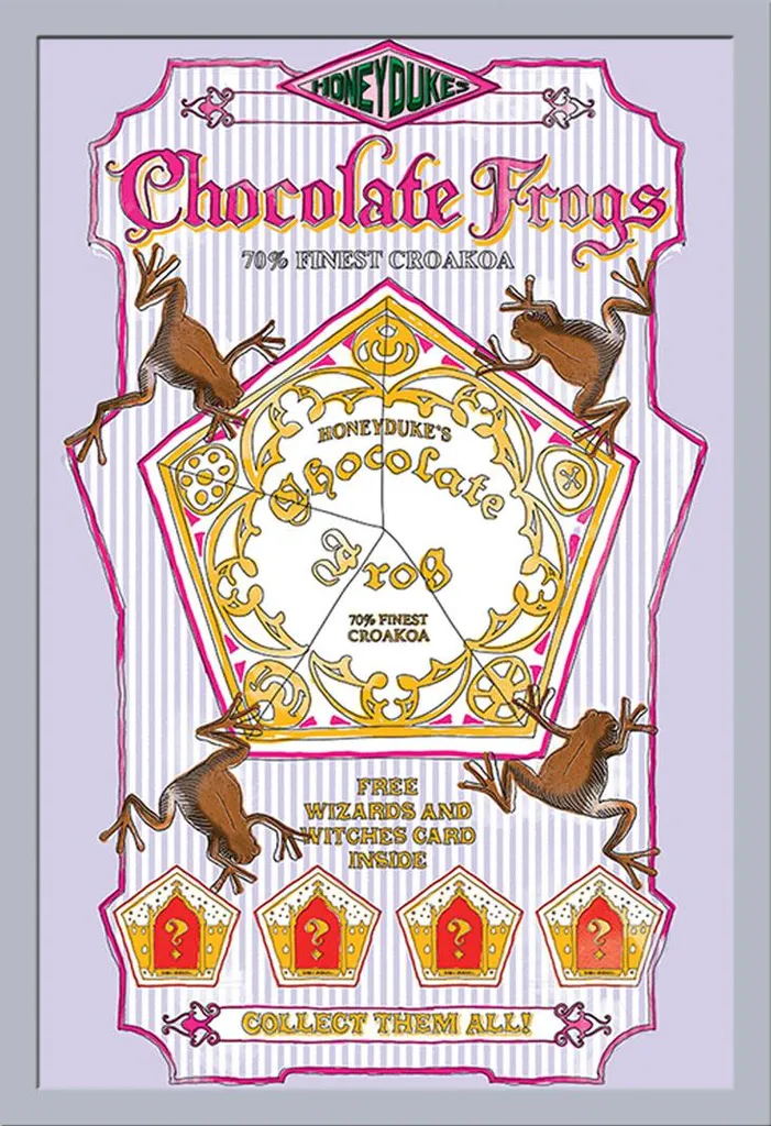 Cornice Shinsuke Argento + Poster Harry Potter Rane Cioccolato 61x91.5