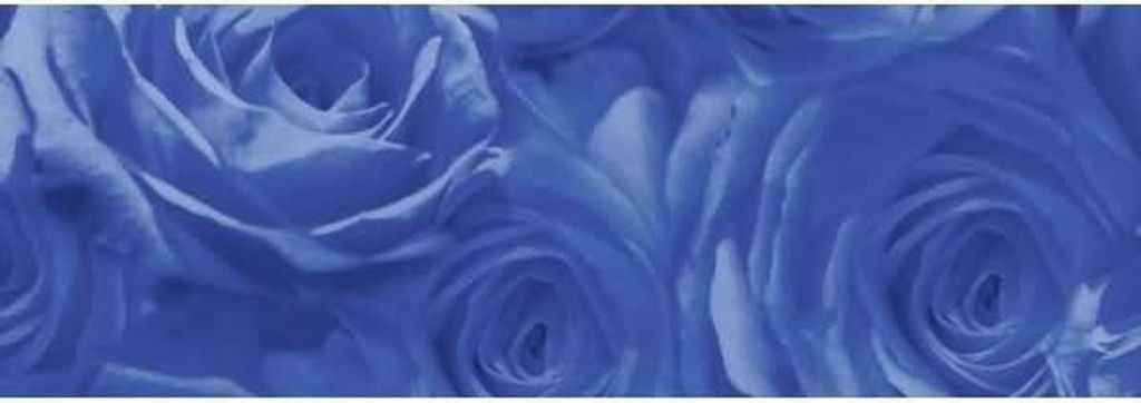 Transparentpapier 115g/qm A4 VE=25 Blatt Rosen dunkelblau