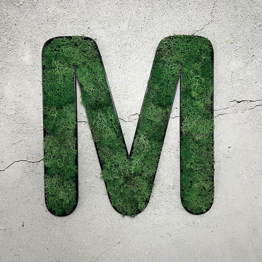 Islandmoos – Set MOIN Grasgrün Produktbild 5