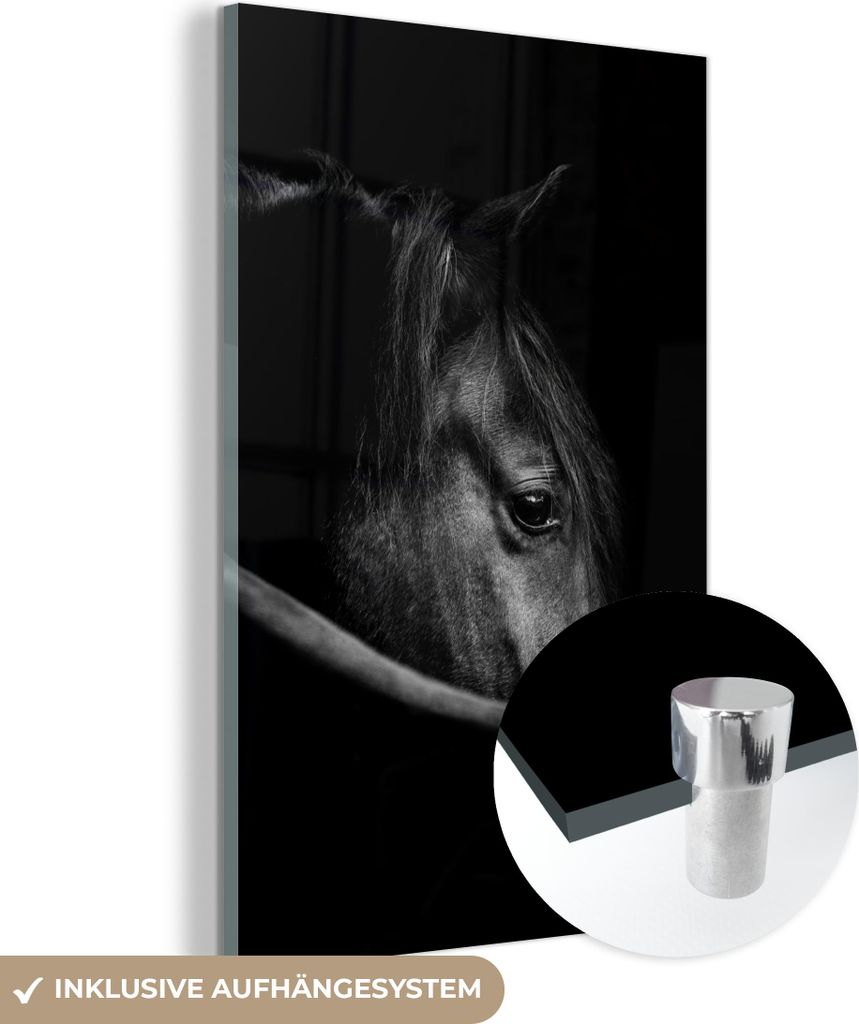 MuchoWow Glasbilder - Bilder auf Wandbild - Foto auf Glas Pferde - Porträt - Schwarz - Tiere 20x30 cm Wanddekoration aus Glas - Acrylglasbild - Ac...