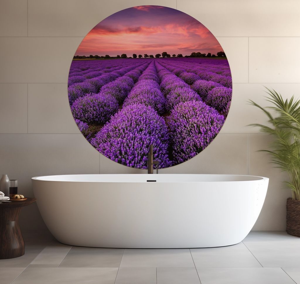 Wallario wasserfestes Poster selbstklebend 120 x 120 cm, Lavendelfeld unter rotem Himmel, Badezimmerposter Spritzschutz mit Hochglanzoberfläche in...