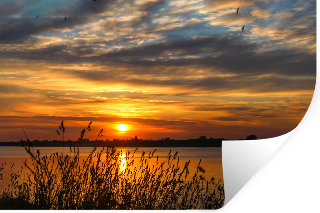 MuchoWow Wandtattoo Wandsticker Wandaufkleber Sonnenuntergang - Meer - Horizont - Himmel - Pflanzen 120x80 cm Selbstklebend und Repositionierbar ...