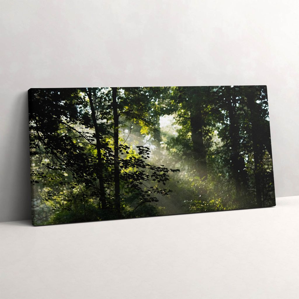 Sonnenstrahlen und Bäume – Leinwandbild Wandbild – 140x70 cm – Leinwandbilder – Wandbilder – Schlafzimmer – Flur