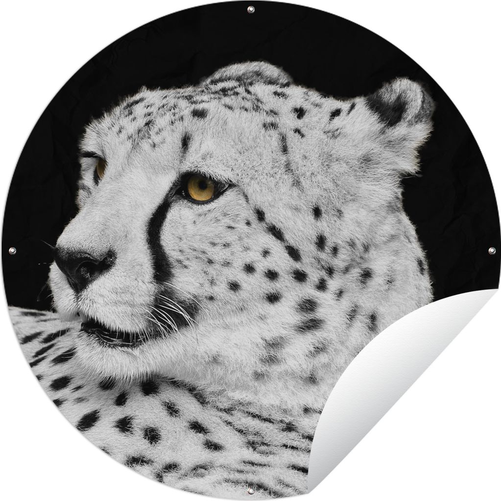 MuchoWow Gartenposter Outdoor-Poster Rund Leopard - Weiß - Schwarz Ø 120 cm Gartendeko Rundes Poster draußen