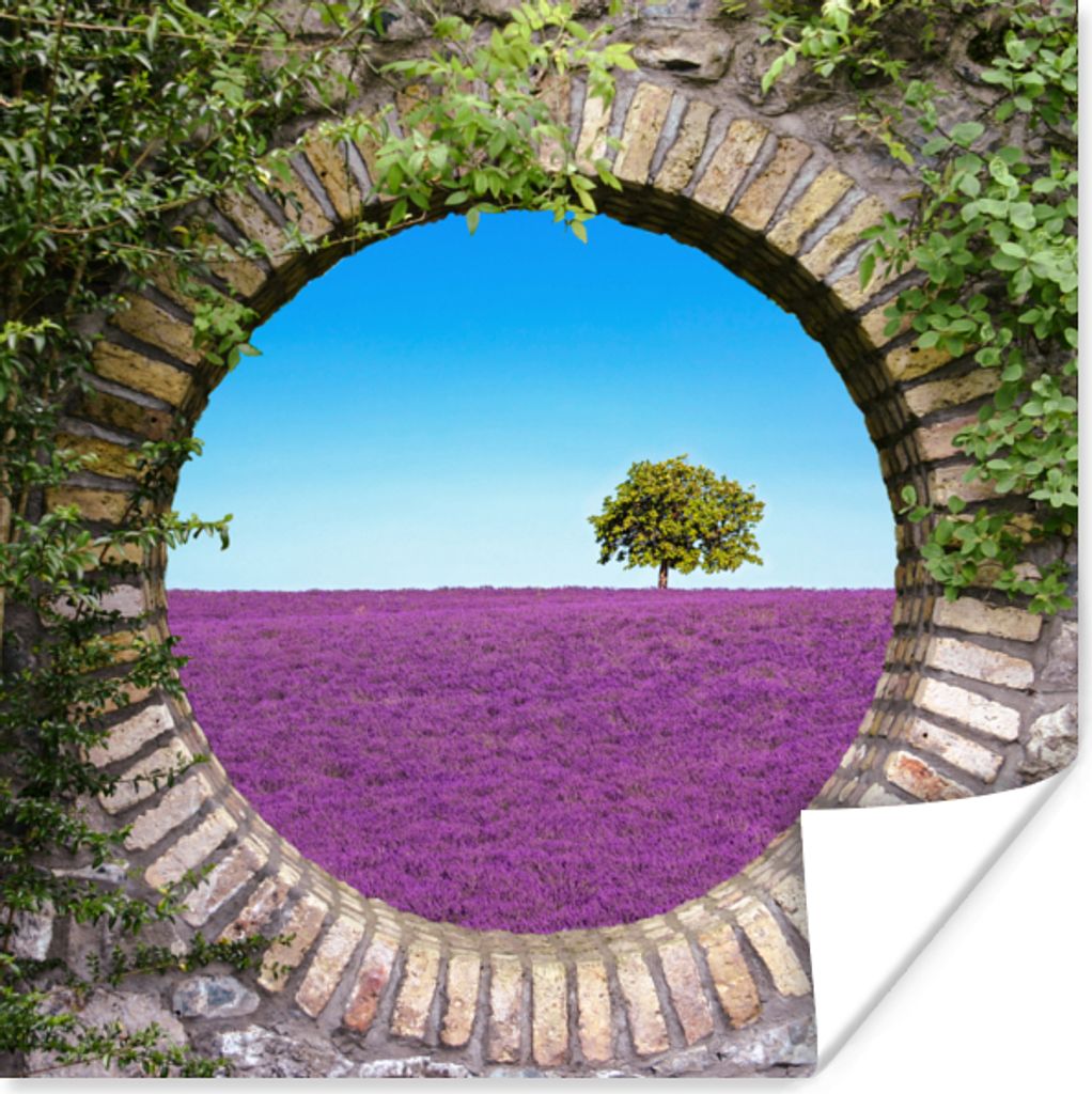 MuchoWow Poster Lavendel - Ausblick - Blumen - Sommer 75x75 cm - Wand Dekoration