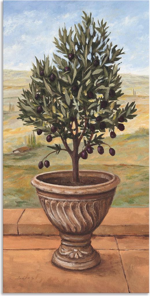 ARTland Wandbild Alu für Innen & Outdoor Olivenbaum Größe: 75x150 cm
