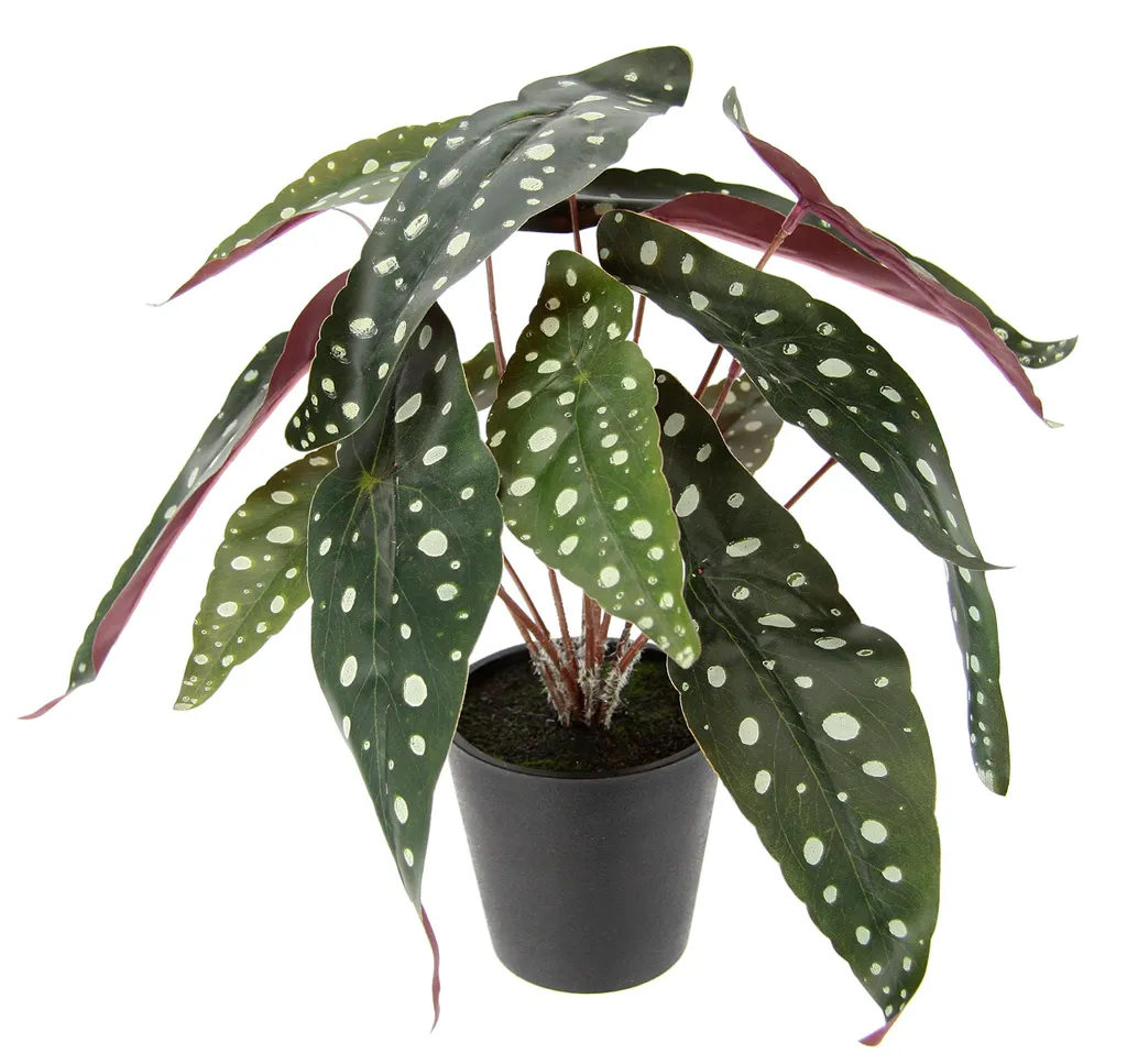 Bégonia artificiel fleurs en soie feuillage réaliste 30cm pot inclus