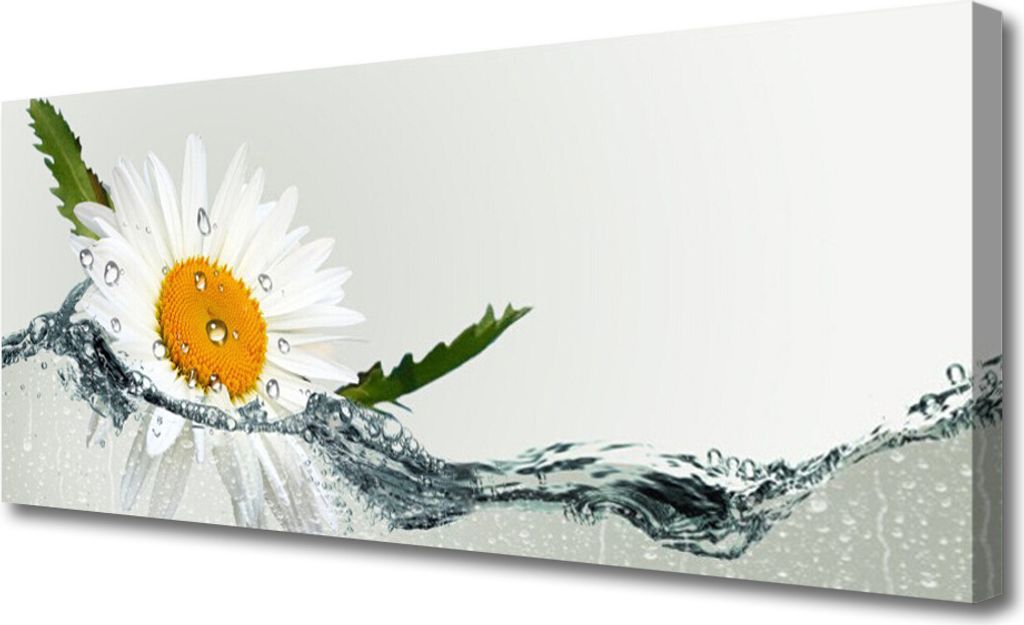 Tulup Leinwand-Bilder 125x50 Wandbild Canvas Kunstdruck Gänseblümchen Wasser Kunst