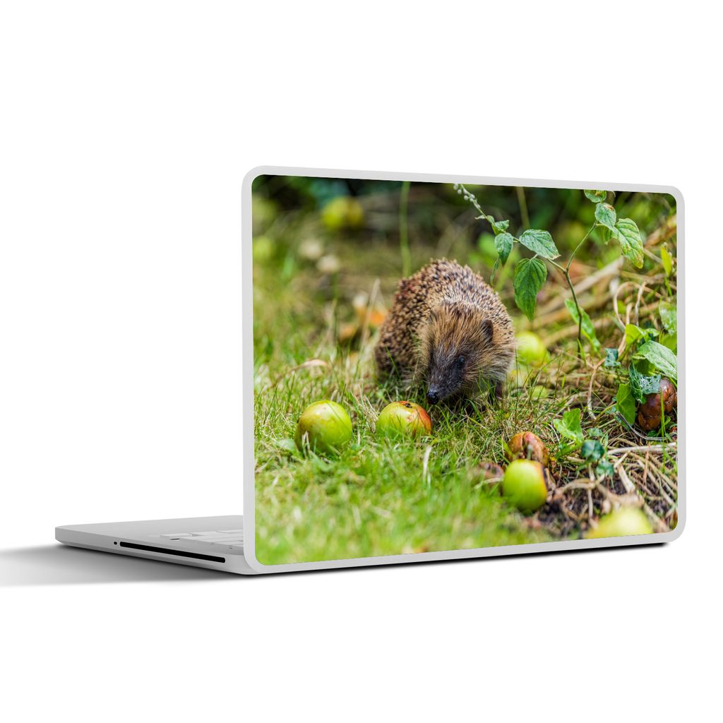 MuchoWow Laptop Aufkleber Sticker Cover Igel geht zum Apfel 30x22 cm - Laptop-Sticker