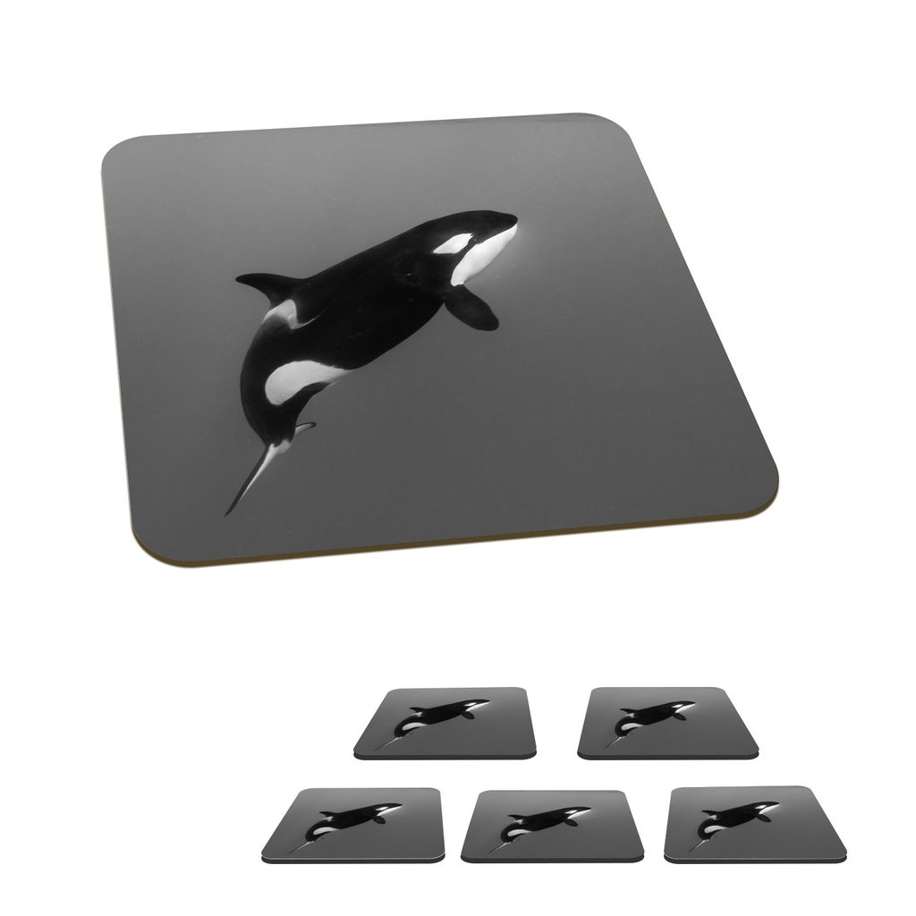 KitchenYeah Glasuntersetzer Quadratisch 6er Set Orca - Wasser - Tiere 10x10 cm Untersetzer für Gläser - Getränkeuntersetzer - Tischplattensch...