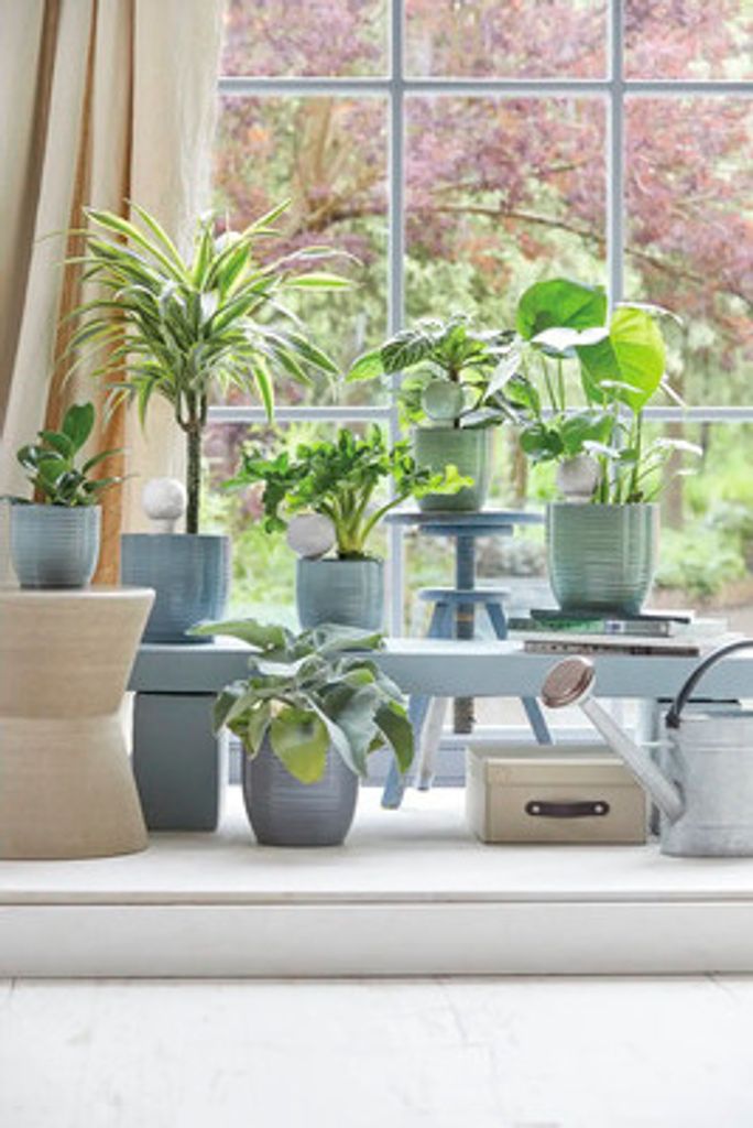 Bewässerung !-Drop Nature Soendgen Keramik 230 ml 8,5 x 19 cm weiß
