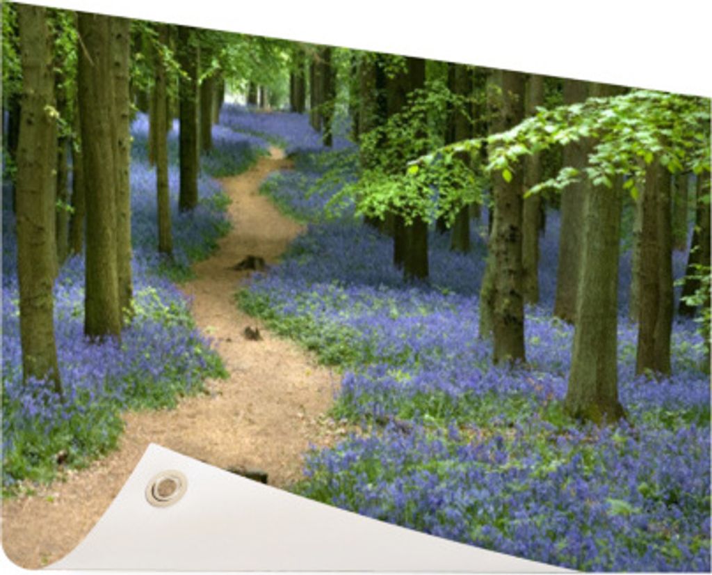 Gartenposter - 120x80 cm - Waldweg mit blauen Blüten - Modernes Wandbilder - Natur
