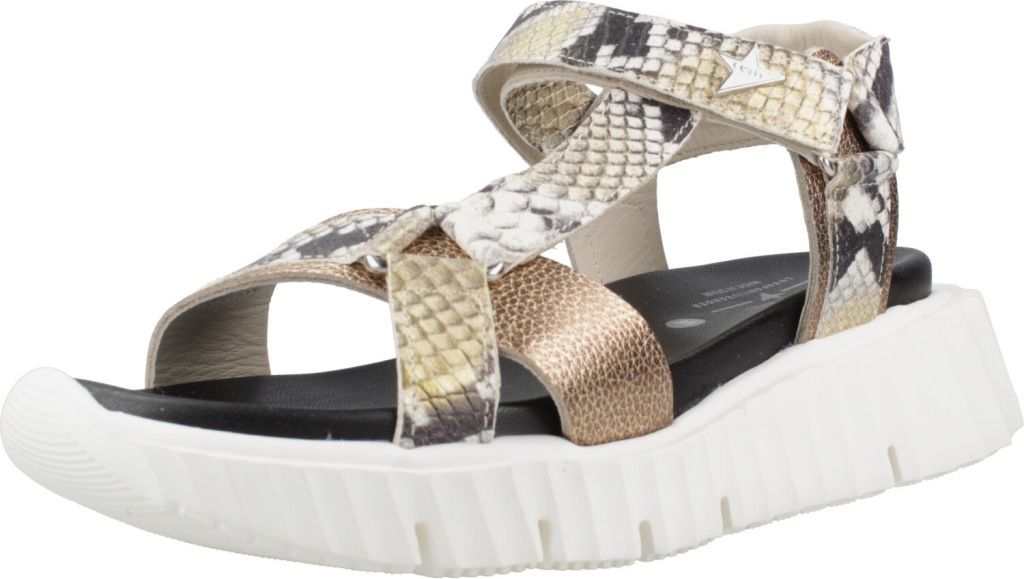 Cetti WIP 10184-026643 in Grey color size 38