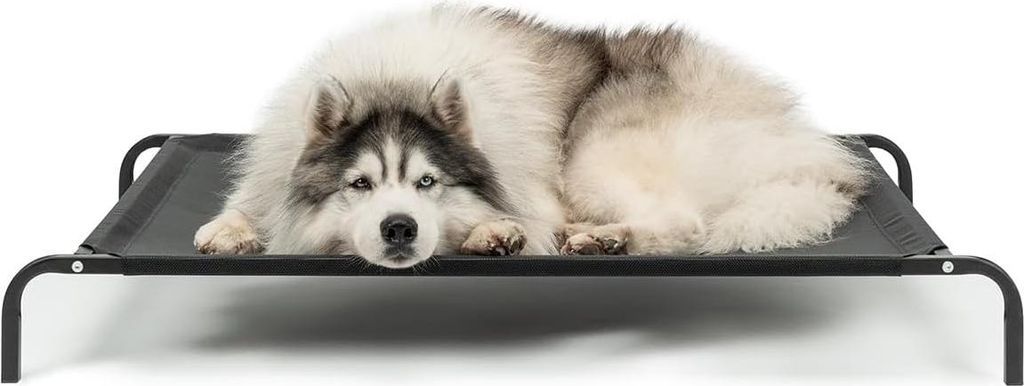 A dog lying on an elevated pet bed.