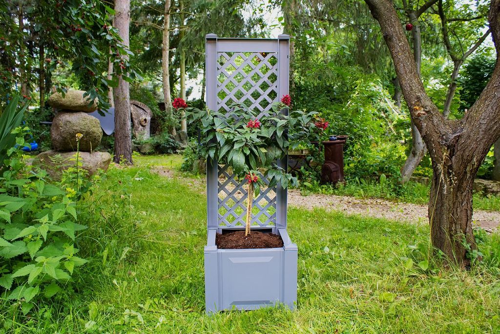 KKHW Pflanzkasten mit Spalier aus hochwertigem Kunststoff. Farbe: Grau; Maße (LxBxH): 43 cm x 43 cm x H 137 cm; Wetter- und UV-beständig. 37202