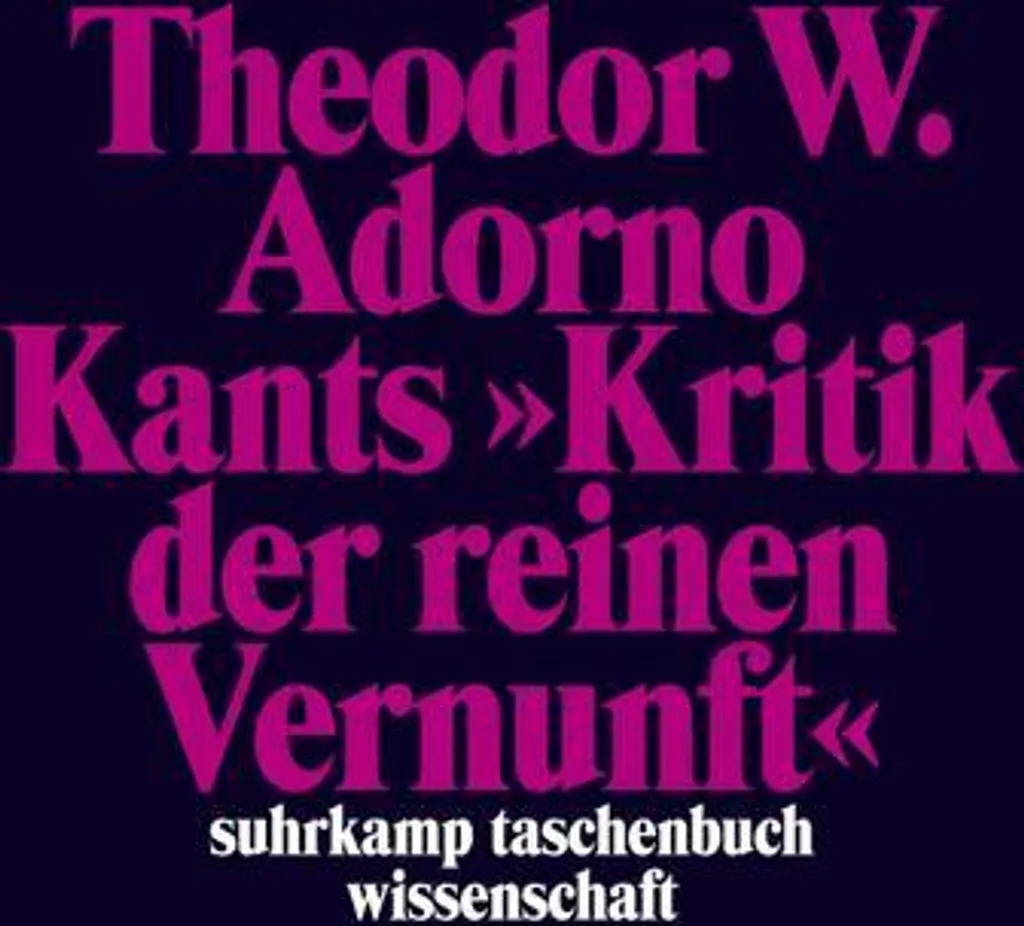 Nachgelassene Schriften IV Vorlesungen : Comprendre les Textes Complexes
