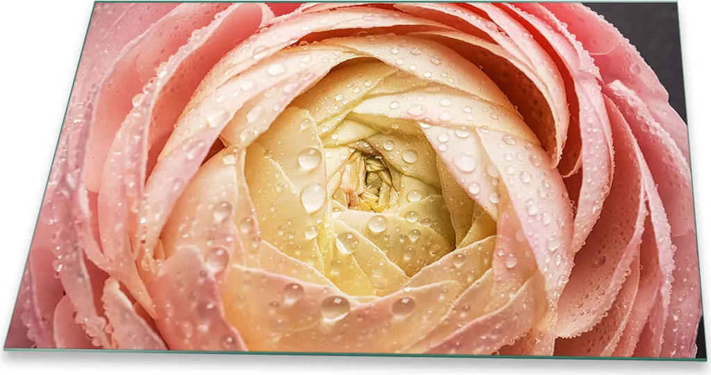 Copertura Piano Cottura Induzione 80x52 Vetro Fiori Rosa | Paraschizzi