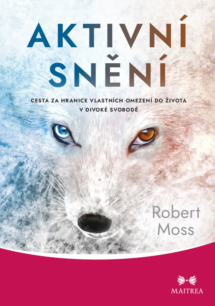 Aktivní snění Robert Moss : Techniques de Rêve Lucide et de Chamanisme