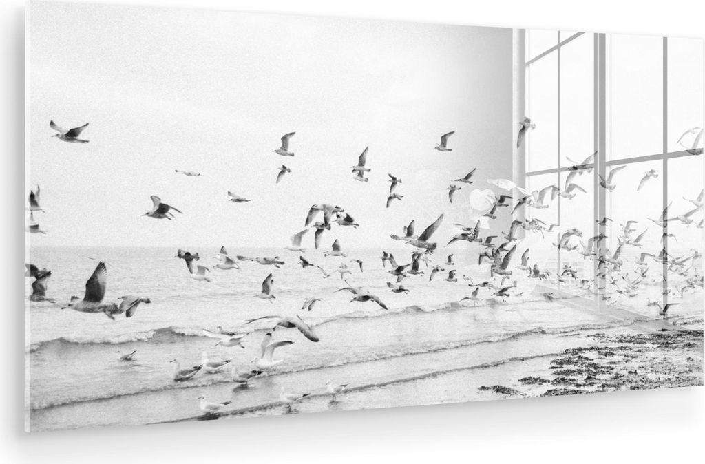MuchoWow Glasbilder - Bilder auf Wandbild - Foto auf Glas Meer - Vögel - Natur - Möwen 80x40 cm Wanddekoration aus Glas - Acrylglasbild - Acrylbi...