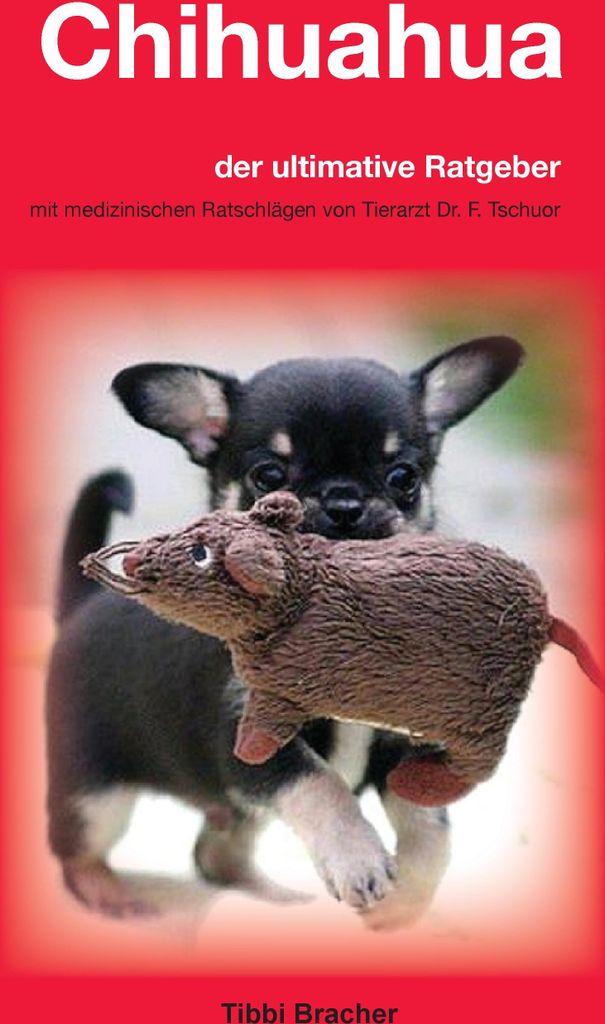 Chihuahua