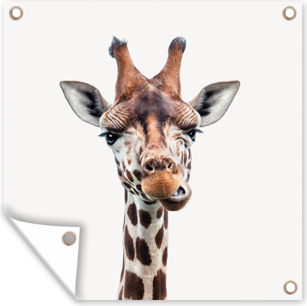 MuchoWow 50x50 cm Outdoor-Poster Gartendeko Sichtschutz Garten Poster für den Garten Tiere - Porträt - Giraffe