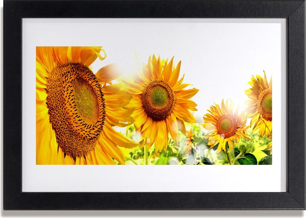 Bild 30x20 MDF-Rahmen Wandkunst Sonnenblume Pflanze