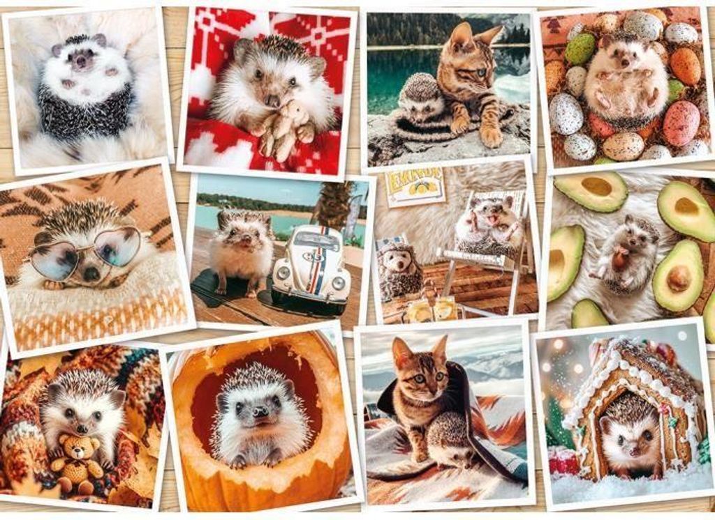 Puzzle, 1500 Teile, Ravensburger, Foto Süße Tiere, Geduld und Konzentration