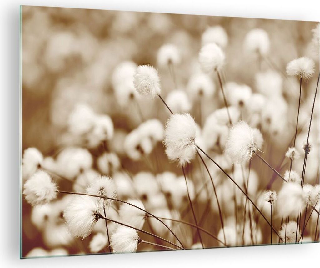 Bilder auf glas - Einteilig - Baumwolle Boho Wollig - 70x50cm - Glasbilder - Wandbilder - Bilder - zum Aufhängen bereit - Wanddekoration aus Glas ...