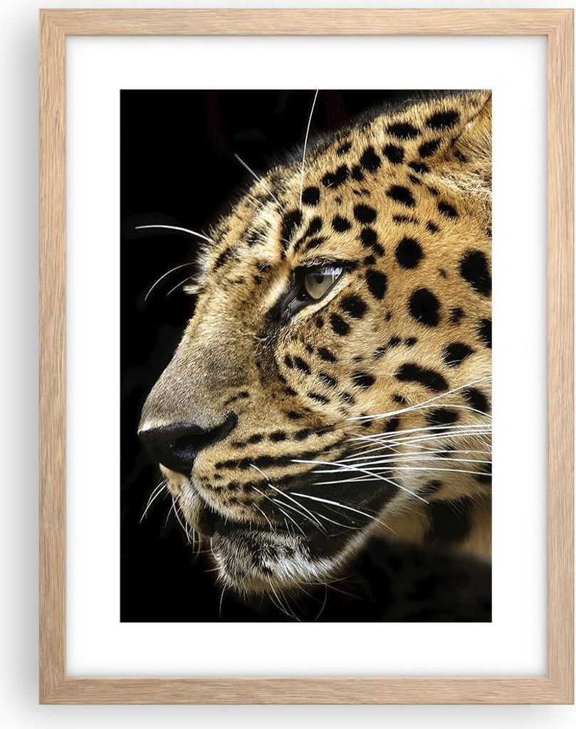 Gerahmtes Poster - Rahmen in heller Eiche - Tiere Leopard wilde Katze wilde Tiere - 30x40 cm - Wand Bild - Wanddeko - Wandbilder - Wandposter - Bil...