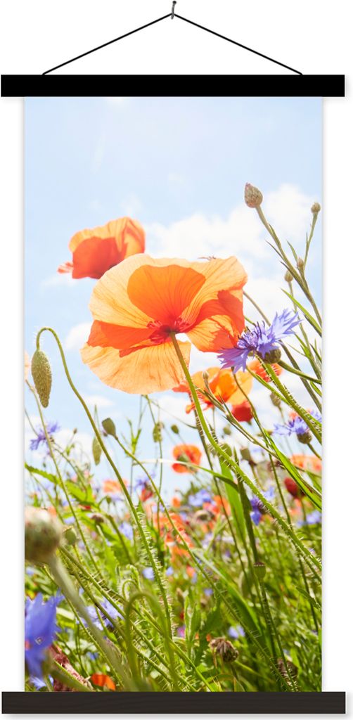 MuchoWow Textilposter Blumen - Mohn - Frühling - Natur - Rot - Blau 40x80 cm mit schwarzem Rahmen - Wandemalerei