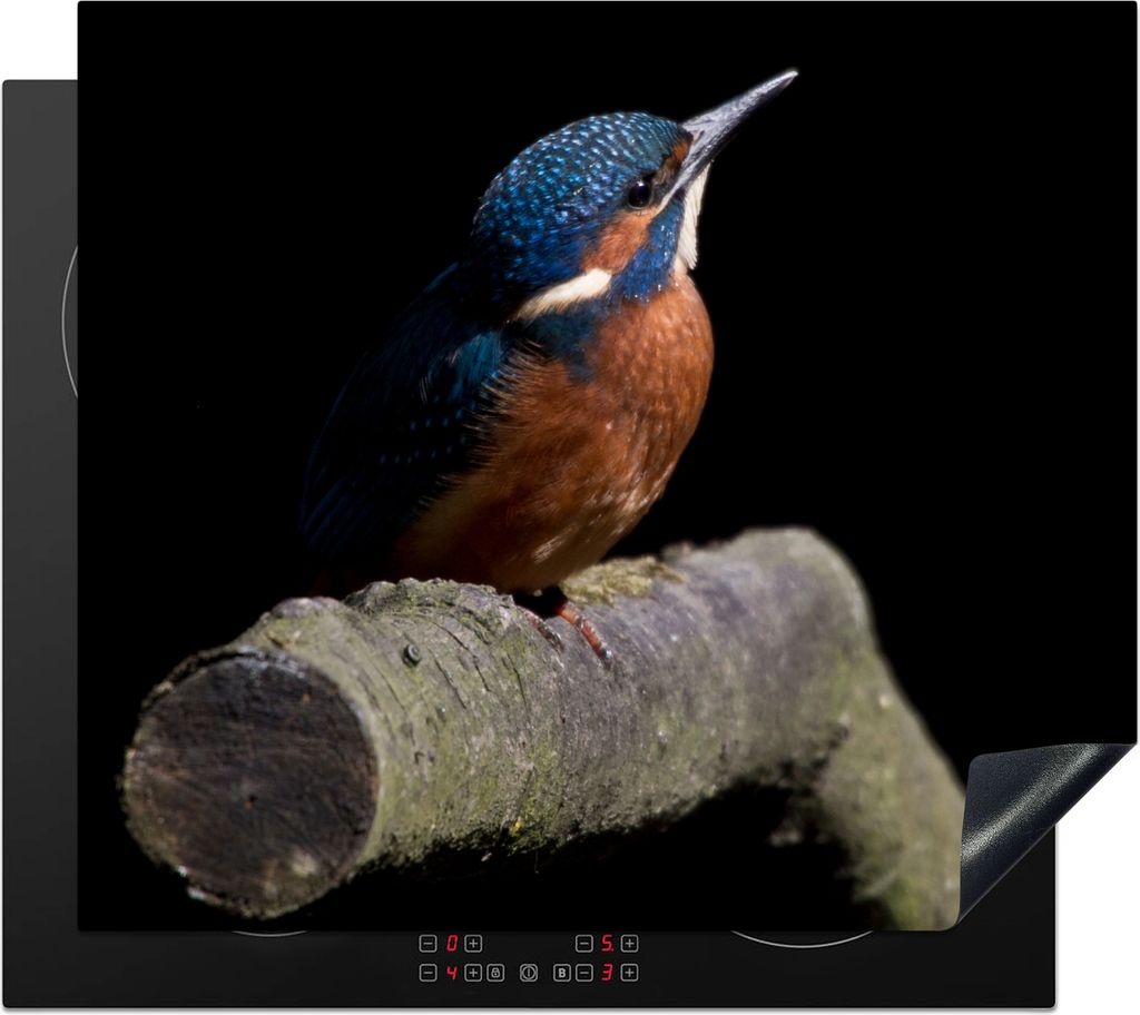 KitchenYeah Herdabdeckplatte Eisvogel - Zweig - Federn - Schwarz , 60x52cm, Küche Deko, Glaskeramikkochfeld Herdabdeckung, Abdeckplatte fùr Koc...