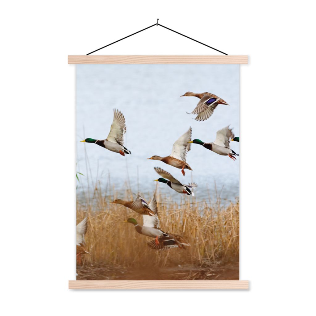 MuchoWow Textilposter Ente - Vogel - Schilf - Wasser - Enten 40x53 cm mit holzfarbenen Rahmen - Schlafzimmer