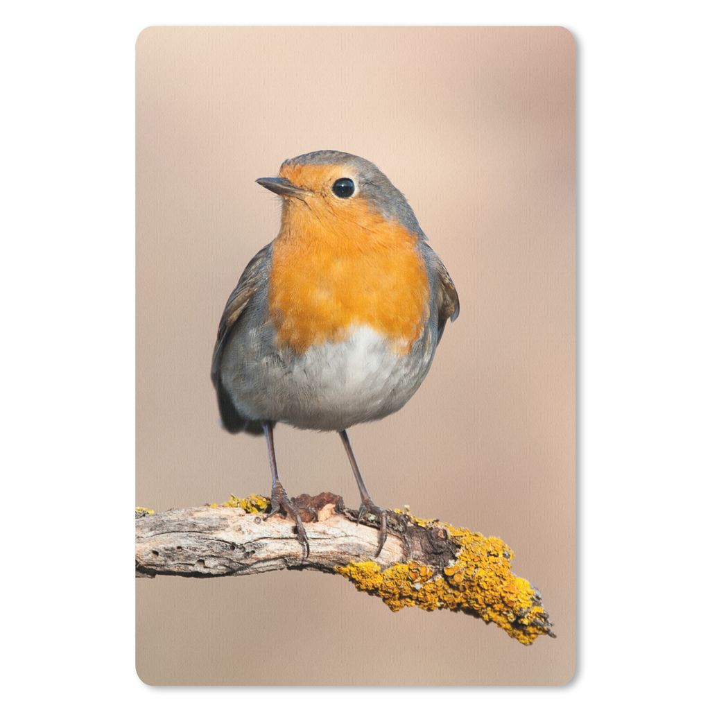 MuchoWow Mauspad Mousepad Rotkehlchen - Vogel - Zweig - Tiere 18x27 cm - Mousepads - Maus Mat - Pad - Mausunterlage