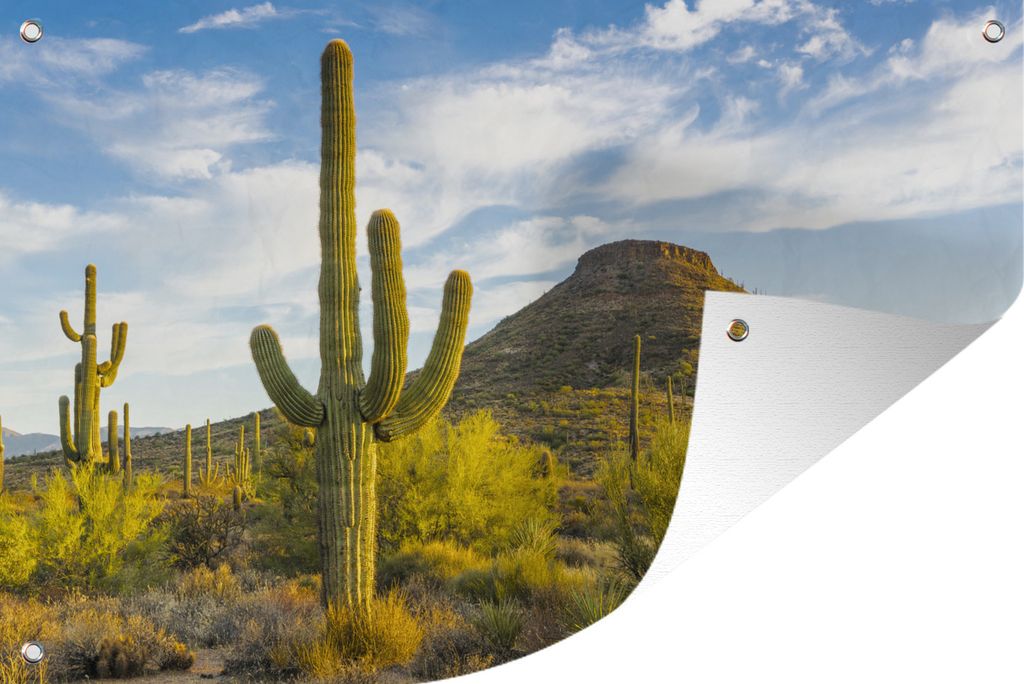 MuchoWow 60x40 cm Outdoor-Poster Gartendeko Sichtschutz Garten Poster für den Garten Kakteen in Arizona