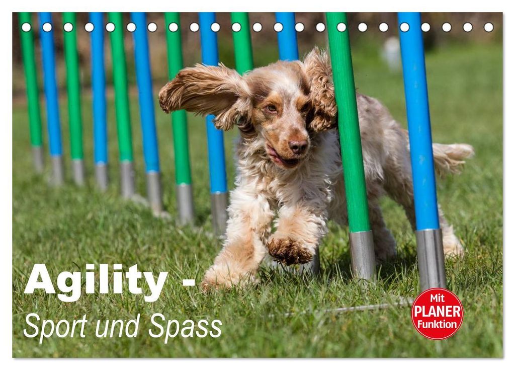 Agility - Sport und Spass (Tischkalender 2027 DIN A5 quer), CALVENDO Monatskalender