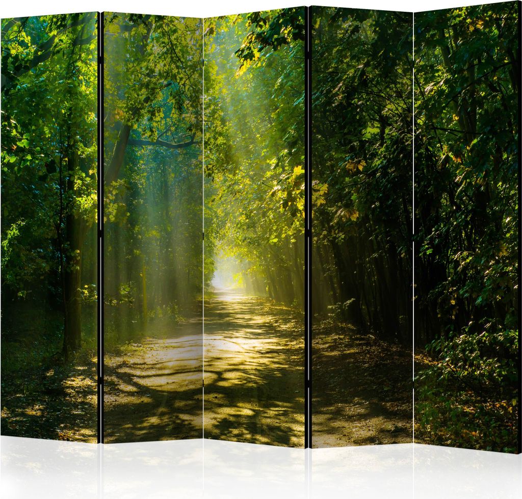 5-teiliger Doppelseitiger Vlies Paravent - Road in Sunlight II 225x172 cm Landschaften c-A-0086-z-c