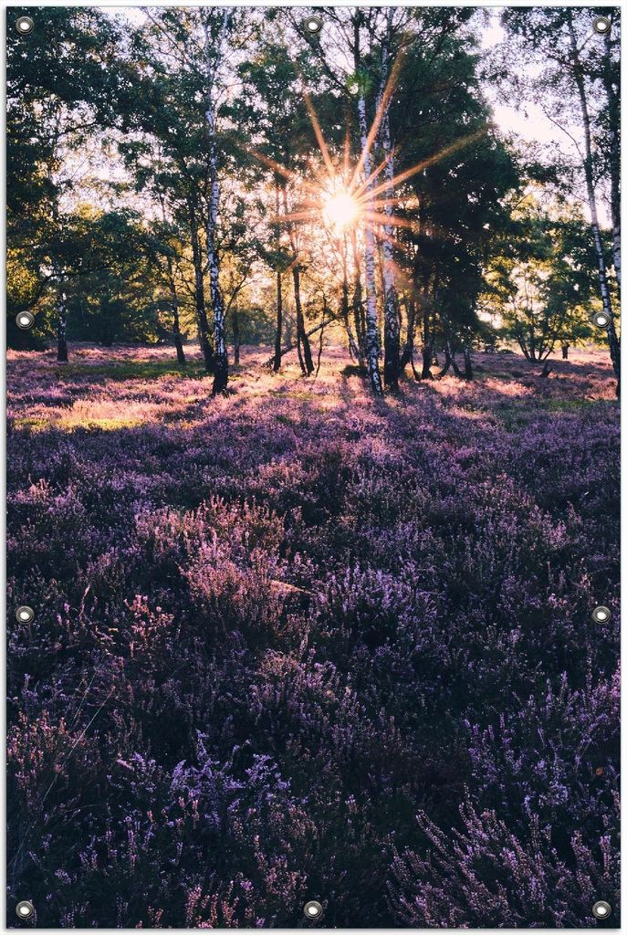 Wallario Outdoor-Poster für Garten oder Balkon, Motiv Heide im Morgenlicht, in ca. 100 x 150 cm