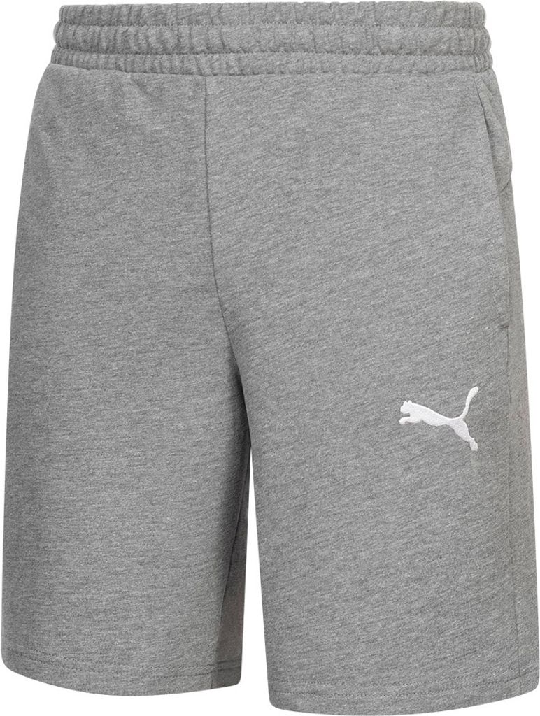 Puma Teplákové šortky teamGOAL Casuals Šortky Obrázek produktu 