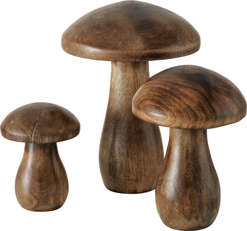 Dekoaufsteller Terjol 3 tlg Holzpilz natur Holz Produktbild 