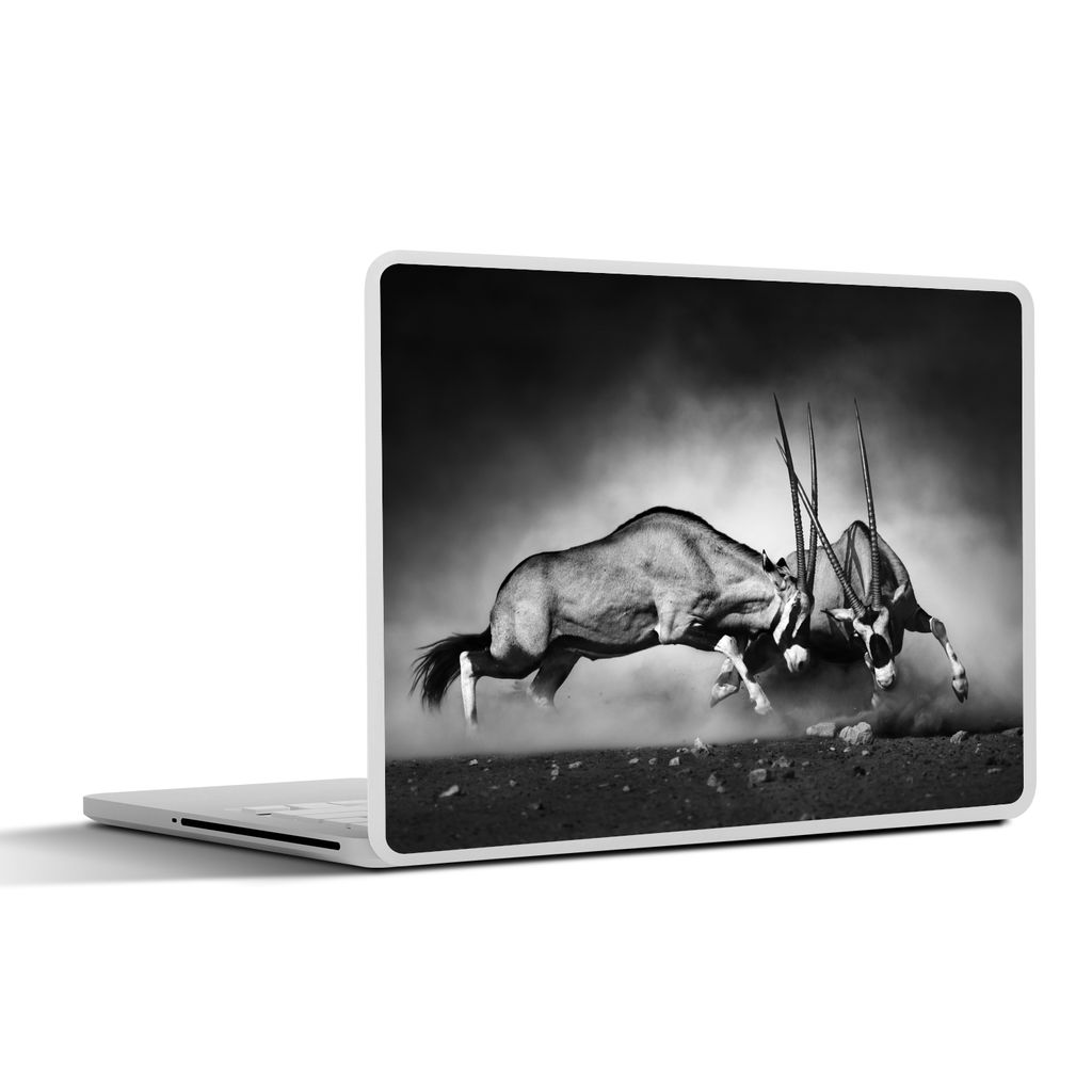 MuchoWow Laptop Aufkleber Sticker Cover Antilope - Schwarz und weiß - Porträt - Wildtiere - Tiere 36.5x27.5 cm - Laptop-Sticker