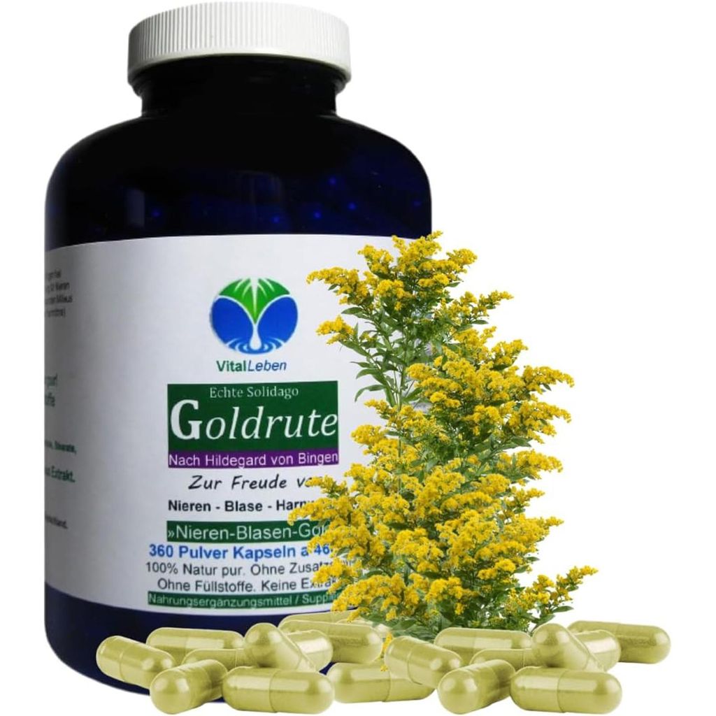 Echte Goldrute Solidago Goldrutenkraut 360 Kapseln - Nieren Produktbild 