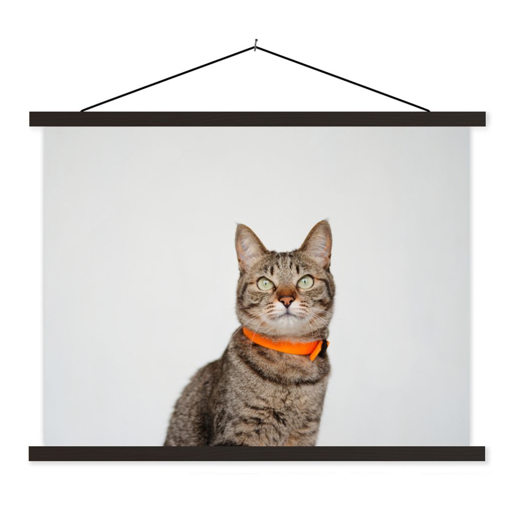 MuchoWow Textilposter Katze - Halskette - Orange - Mädchen - Kinder - Jungen - Kinder 60x45 cm mit schwarzem Rahmen - Poster Schlafzimmer