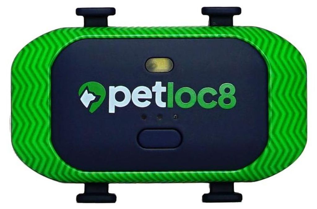 Localizzatore GPS Petloc8 per cani - localizzazione in Immagine del prodotto 