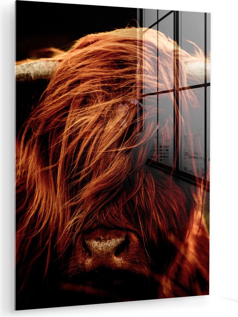 MuchoWow Glasbilder - Bilder auf Wandbild - Foto auf Glas Schottisches Hochlandrind - Kuh - Hörner - Porträt - Tiere 60x80 cm Wanddekoration aus ...