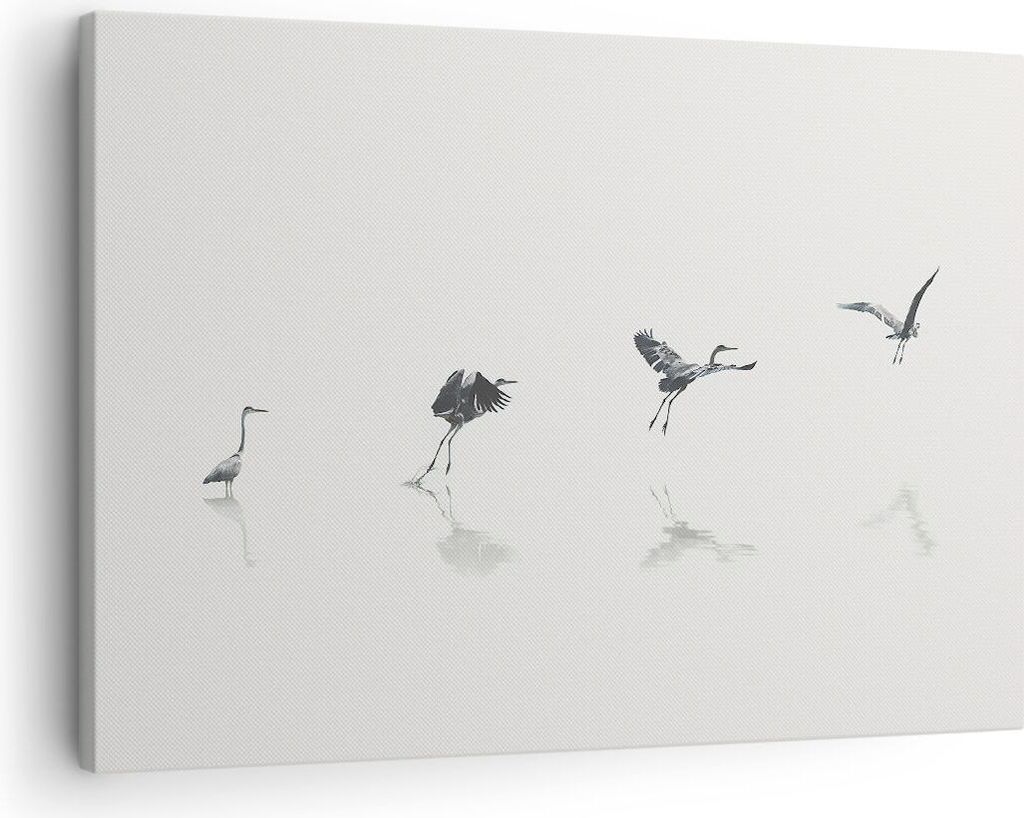 Bild auf Leinwand - Leinwandbild - Einteilig - Flug Vogel Reiher - 70x50cm - Wand Bild - Wanddeko - Wandbilder - Leinwanddruck - Bilder - Wanddekor...