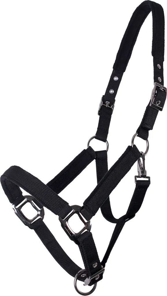 Licol Photo QHP – Noir, 100% Polypropylène, Souple, Pour Poneys Et Chevaux, Idéal Pour Séances Sans Ombre