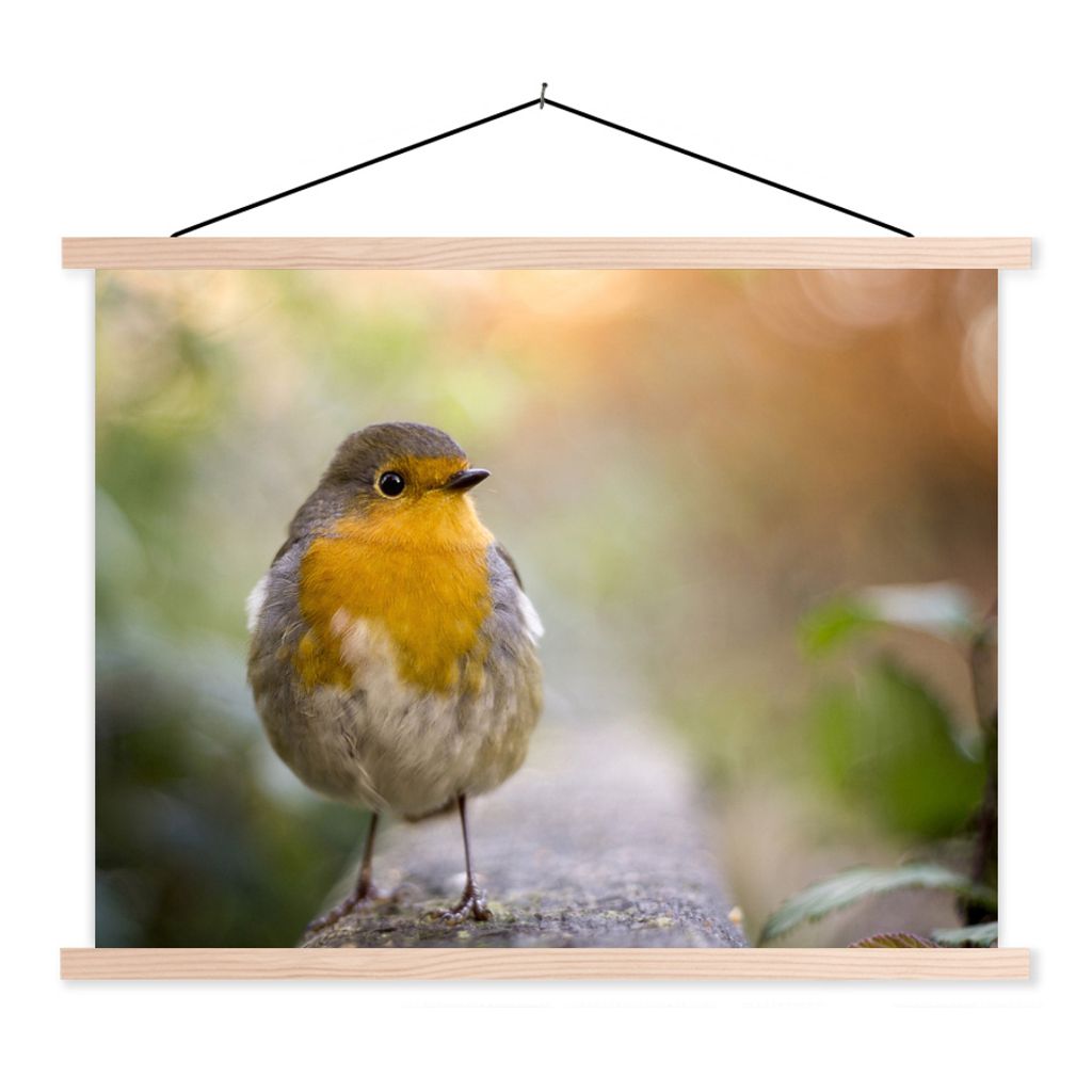 MuchoWow Textilposter Vögel - Rotkehlchen - Baum 120x90 cm mit holzfarbenen Rahmen - Magnetisch